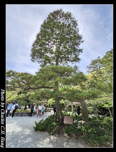 大佛_072.jpg