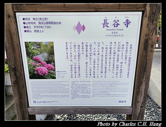 長谷_011.jpg