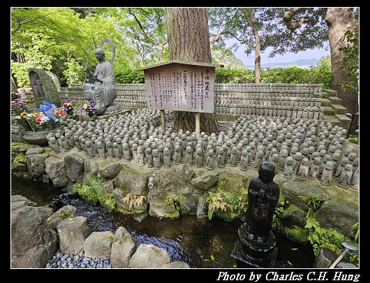 長谷_026.jpg