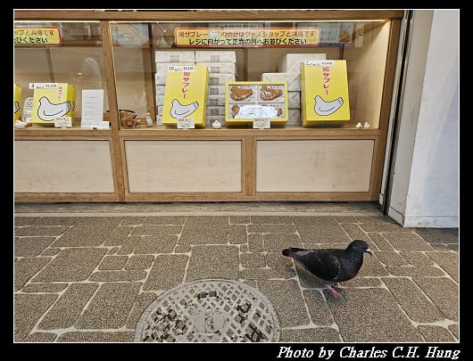 駿河屋_029.jpg