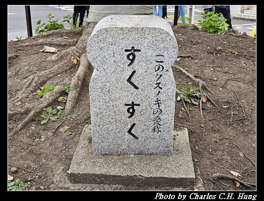 小町通_016.jpg