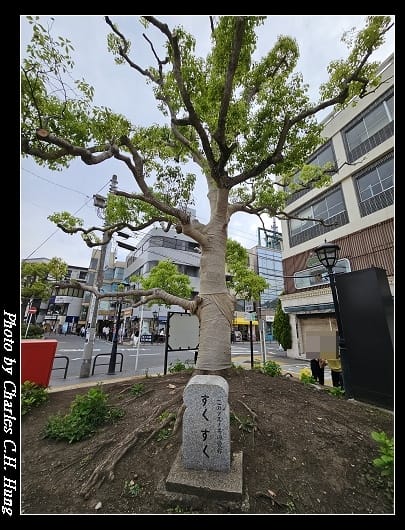 小町通_015.jpg
