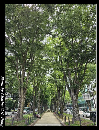 定禪寺_028.jpg