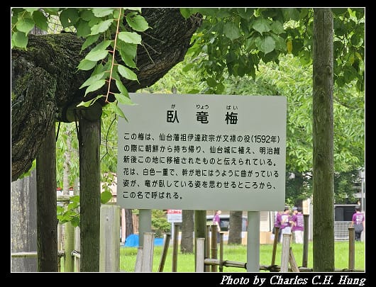櫻岡_032.jpg