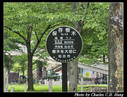 櫻岡_033.jpg