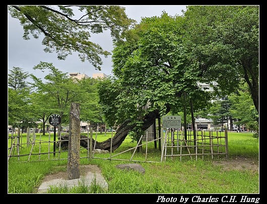 櫻岡_030.jpg