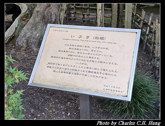 瑞巖寺_090.jpg 瑞巖寺_090.jpg