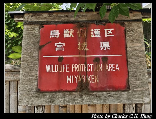 青葉_013.jpg
