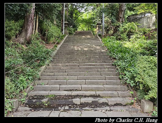 青葉_017.jpg