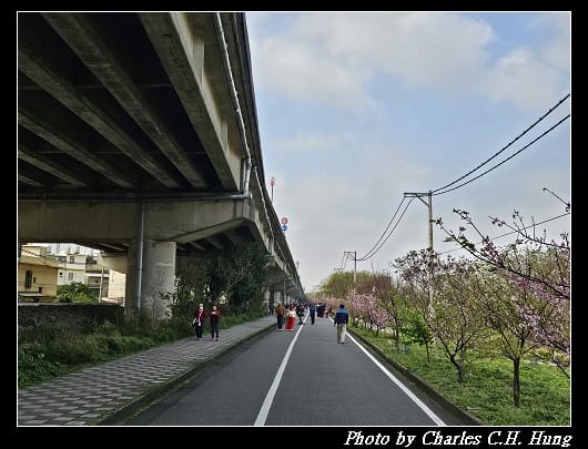 櫻花_031.jpg 櫻花_031.jpg