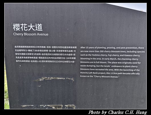 櫻花_022.jpg 櫻花_022.jpg