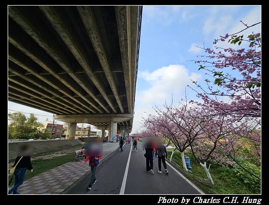櫻花_028.jpg 櫻花_028.jpg