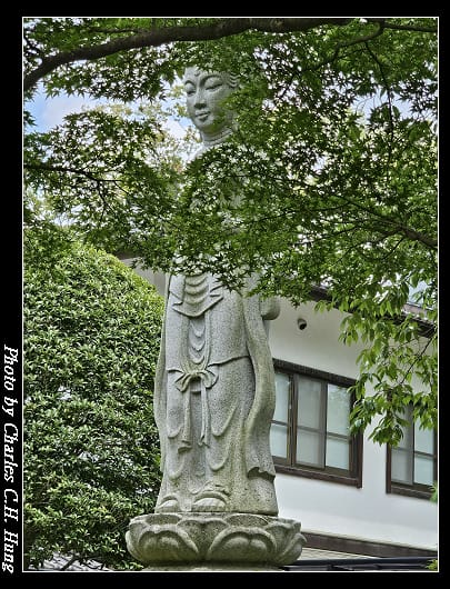 輪王_061.jpg