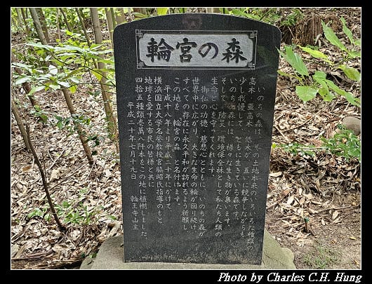 輪王_042.jpg