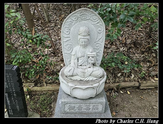 輪王_029.jpg