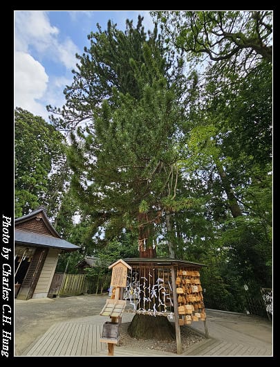 八幡宫_077.jpg