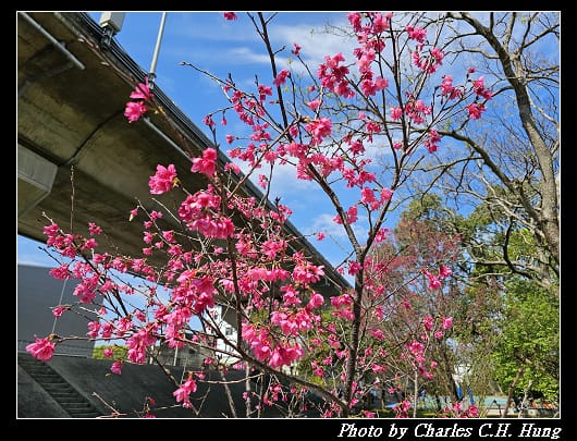 竹東_021.jpg