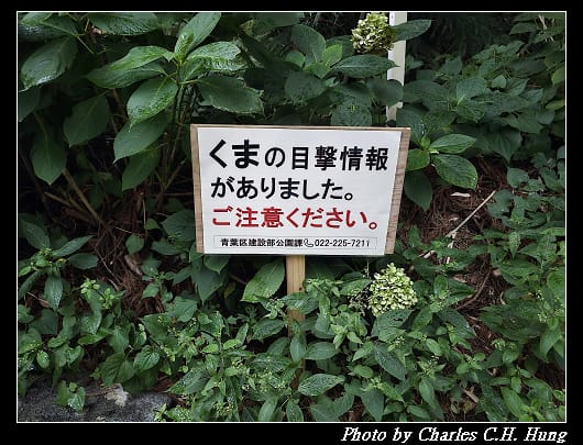 瑞鳳_119.jpg