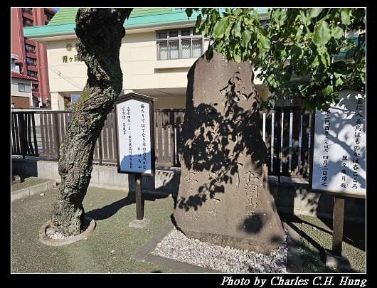 天滿_070.jpg