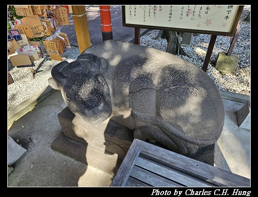 天滿_048.jpg