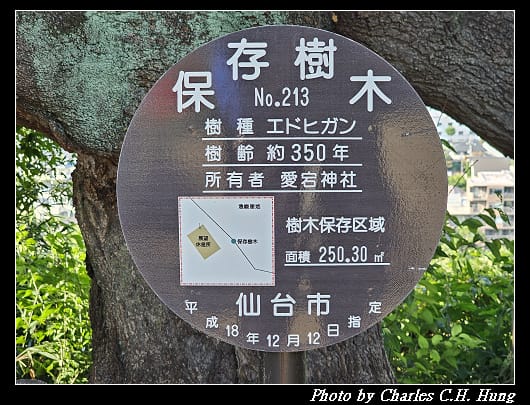 愛宕_053.jpg