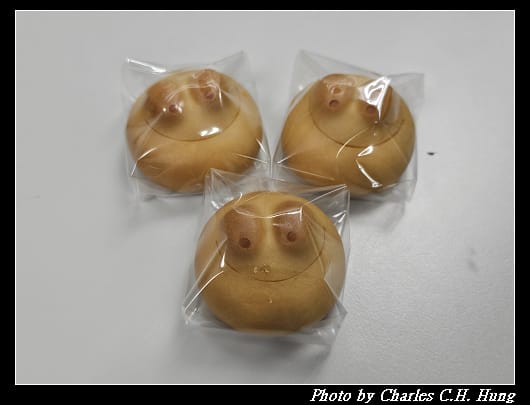 青蛙_010.jpg