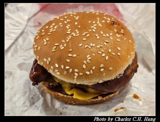  Burger_026.jpg