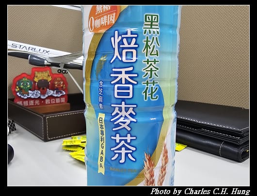 茶花_002.jpg