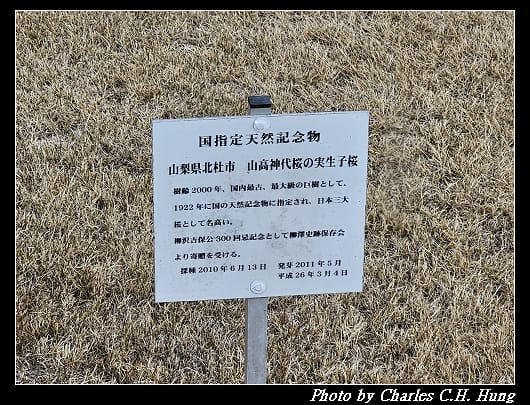 郡山_105.jpg