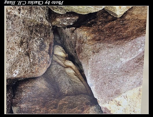 郡山_156.jpg