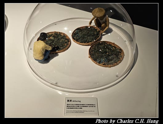 遊客_036.jpg 遊客_036.jpg