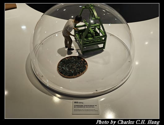 遊客_039.jpg 遊客_039.jpg