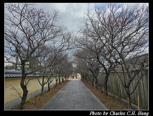 藥師寺_088.jpg