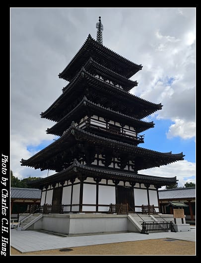 藥師寺_073.jpg