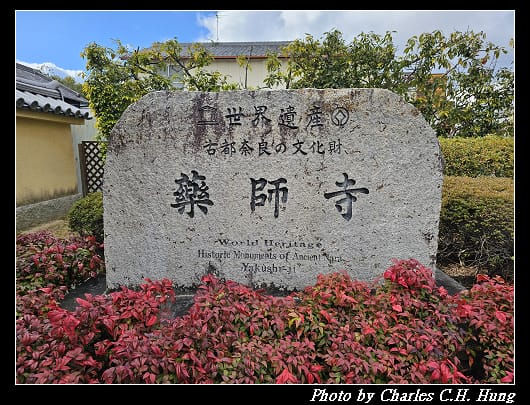 藥師寺_012.jpg