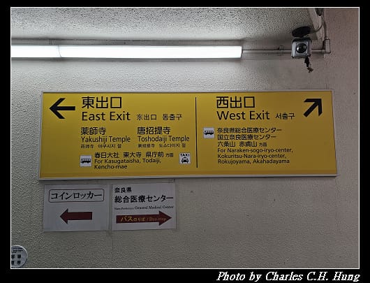 藥師寺_003.jpg