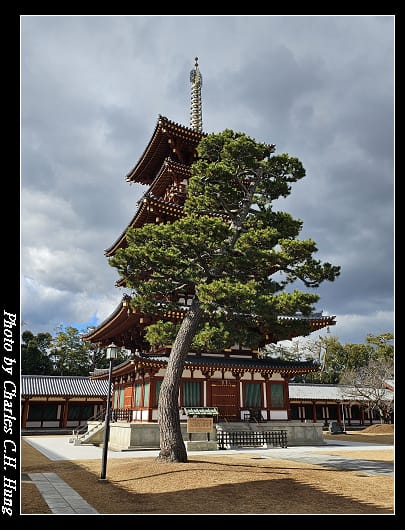 藥師寺_068.jpg