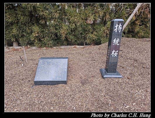 藥師寺_082.jpg