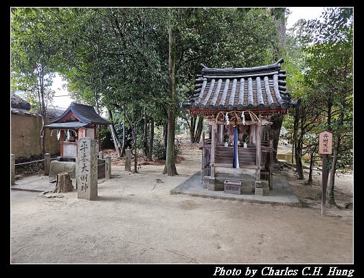 藥師寺_059.jpg