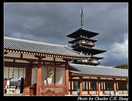 藥師寺_055.jpg