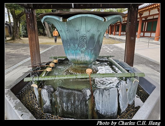 藥師寺_058.jpg