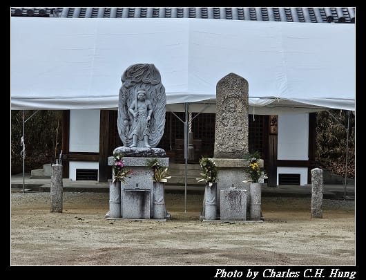 藥師寺_079.jpg