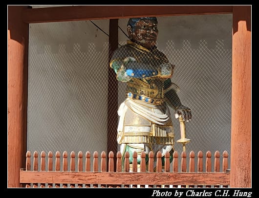 藥師寺_054.jpg
