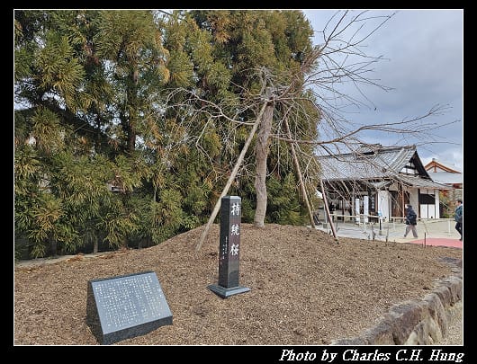 藥師寺_081.jpg