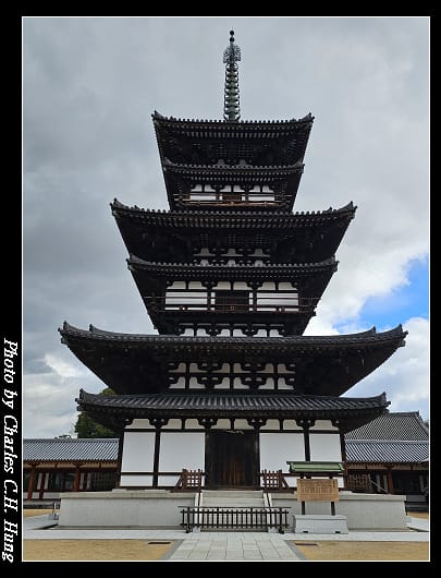 藥師寺_074.jpg