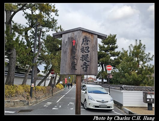 藥師寺_086.jpg