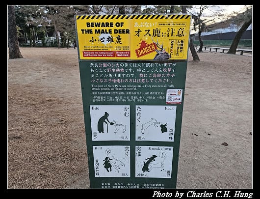 鹿_004.jpg