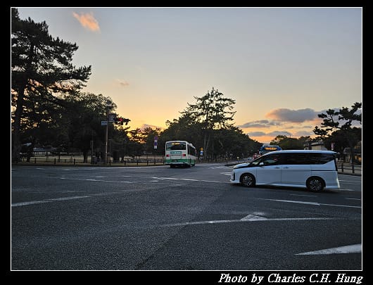 鹿_002.jpg