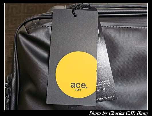 ace_002.jpg