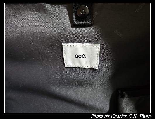 ace_024.jpg